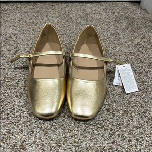 The flat of the season!  Banana Republic metallic Mary Jane-size 6